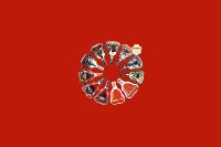 乌尔禾区回收红酒